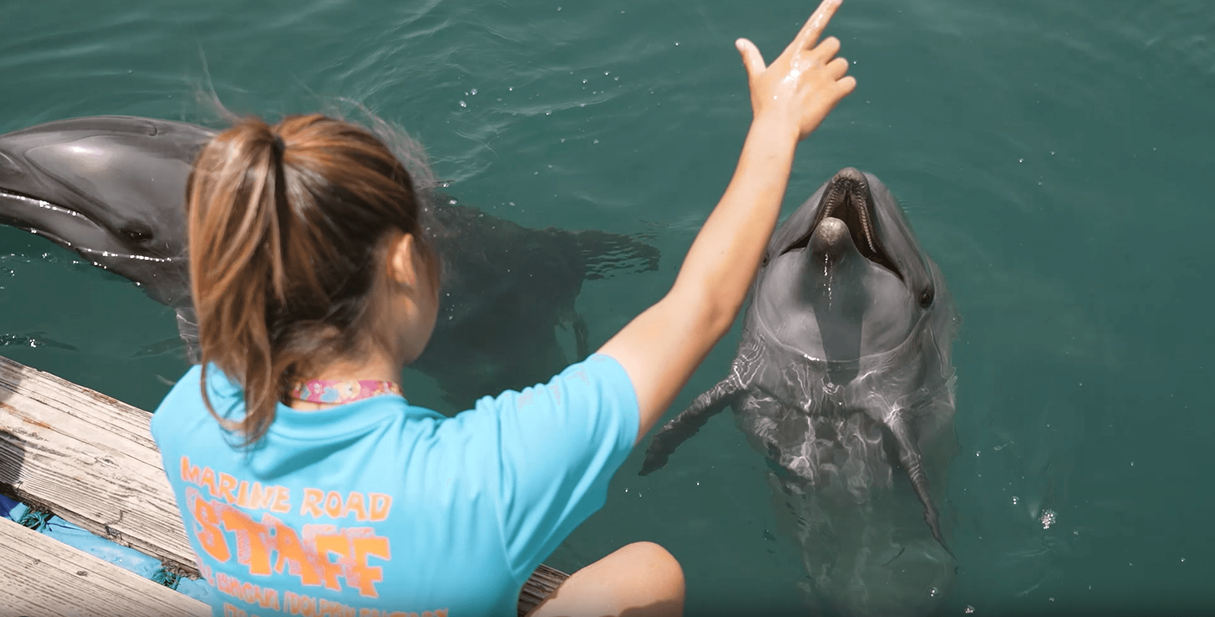 ドルフィンファンタジー様のプロモーション動画を制作しました