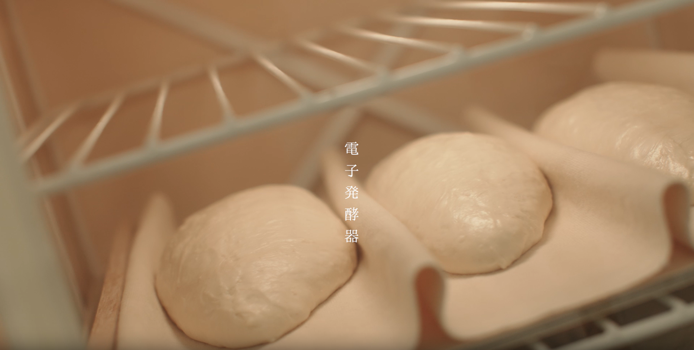 taihanmv-3